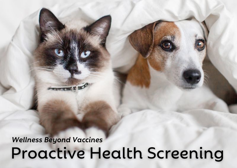 Oakridge Veterinary Clinic