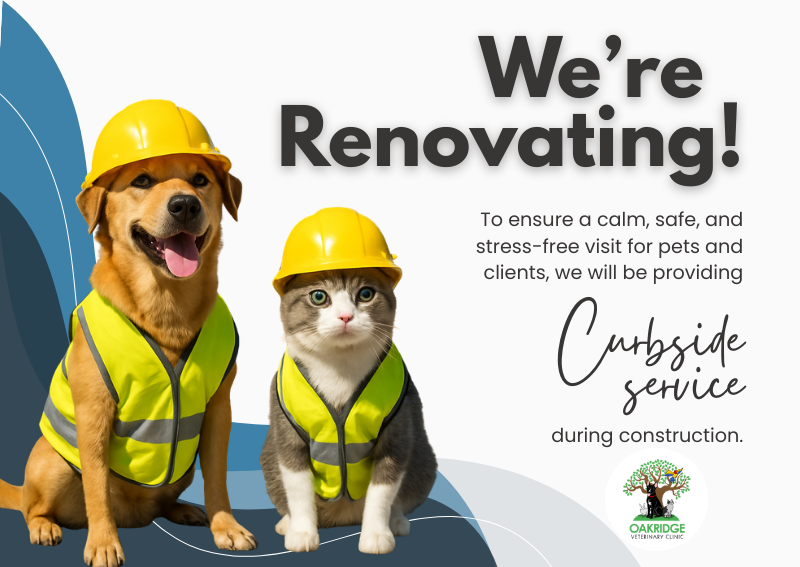 Carousel Slide 1: Learn More >>