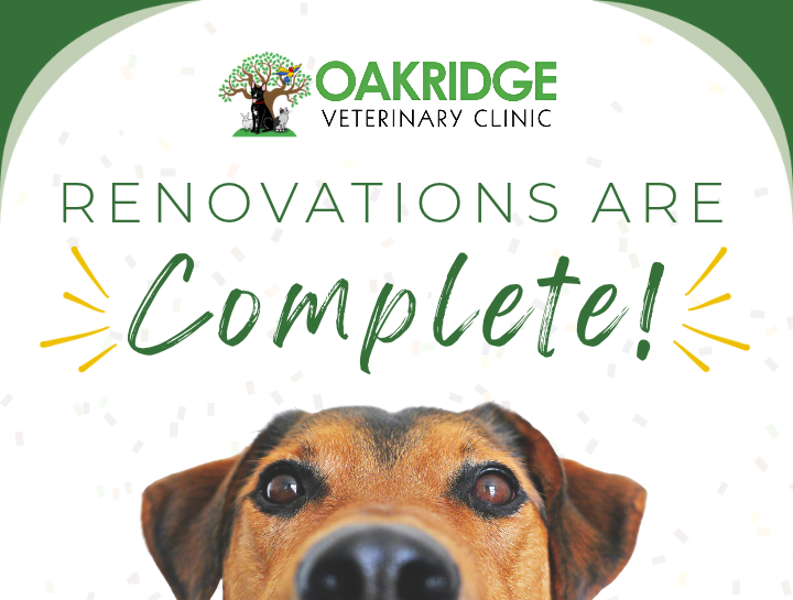 Our Renovations Are Complete!
