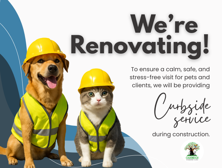 Oakridge Veterinary Clinic is Expanding to Serve You Better!